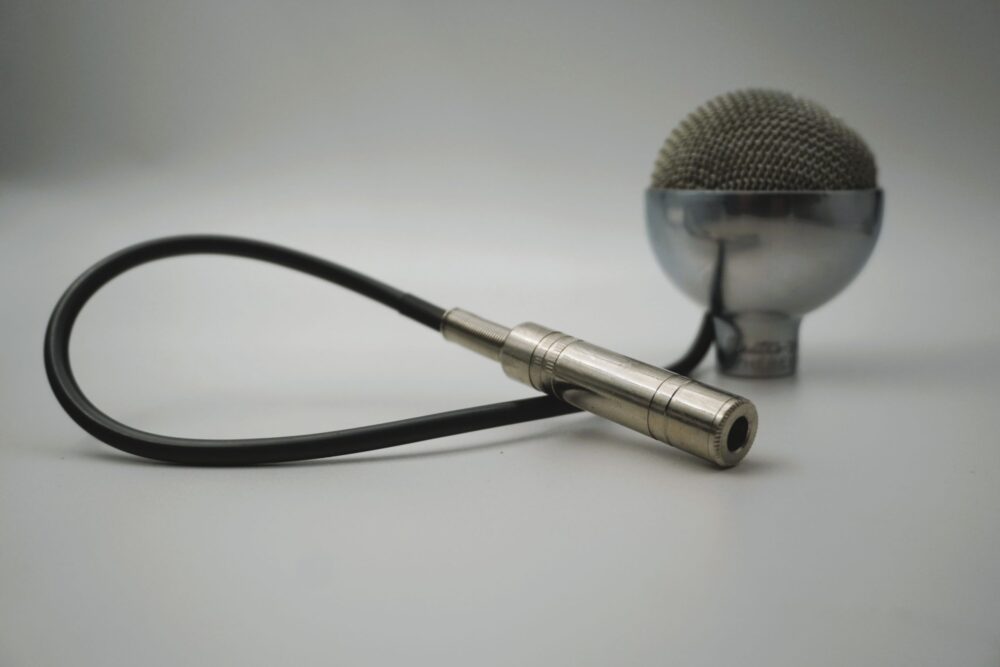 A Blues Harp Star! Electro-Voice Spherex 920 (Special Modification) - Image 4
